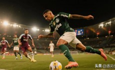 开云体育入口-哥伦比亚国家队备战国际足球比赛，迎战强敌的简单介绍