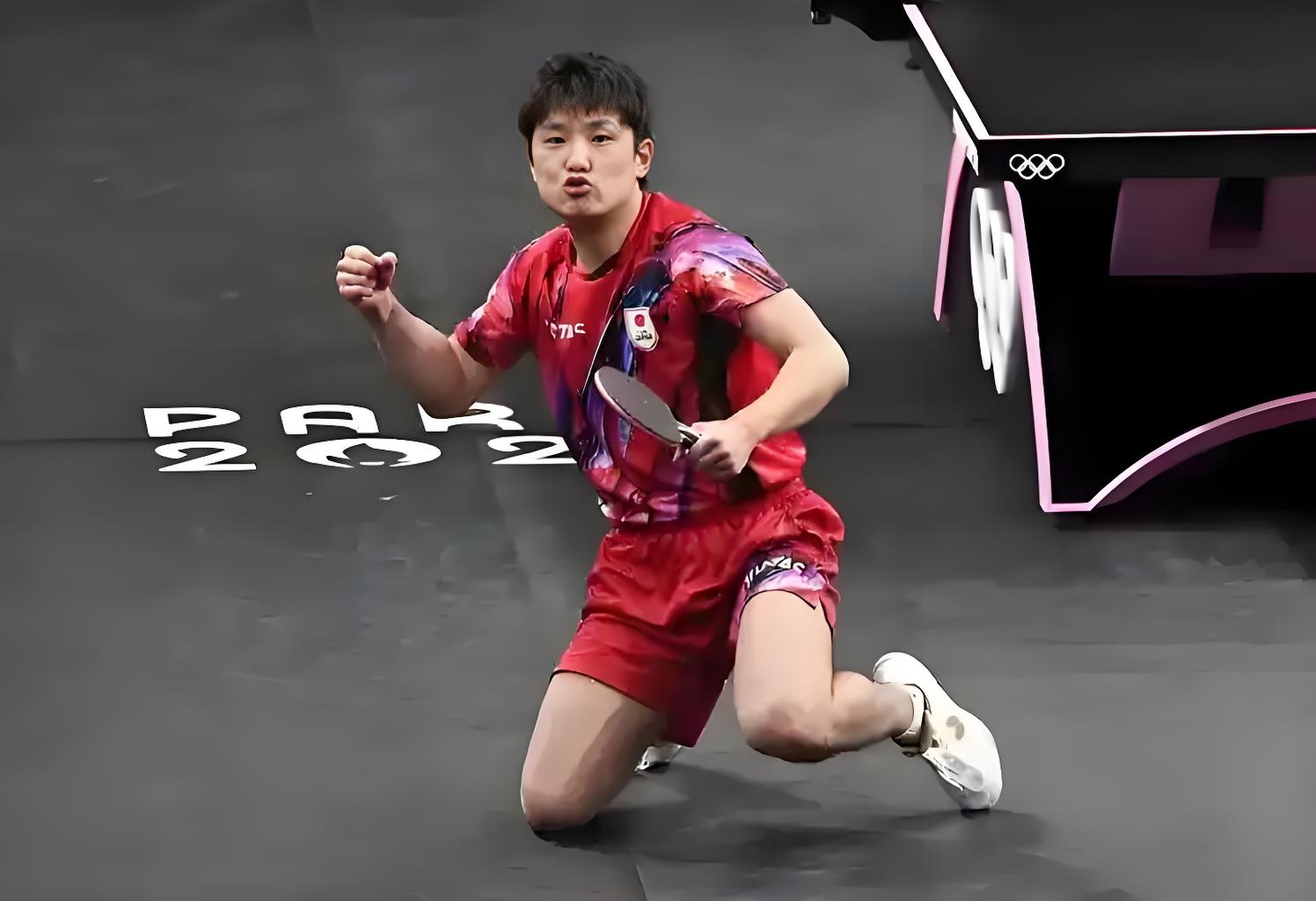 波兰乒乓球队强势奥地利乒乓球队，张本智和爆发神勇的简单介绍